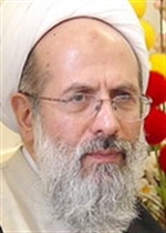  محمد الری‌شهری 