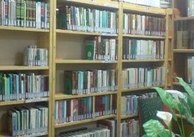 Specialized Library Features Books on Imam Ali’s Life, Seerah