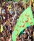 دومین اجلاسیه فعالان مهدوی سراسر کشور در مشهد مقدس برگزار می‌شود