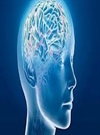 پژوهشى در معناى خرد پژوهشى در معناى خرد