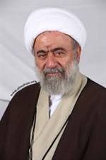  محمد رضا مامقانی 