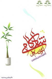 الگوی اسلامی شادکامی نامزد جایزه کتاب سال