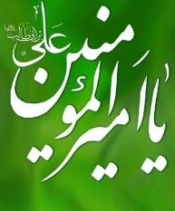 نظیم مهرجان أمیر المؤمنین (ع) الثقافیّ السنویّ الثالث فی الهند