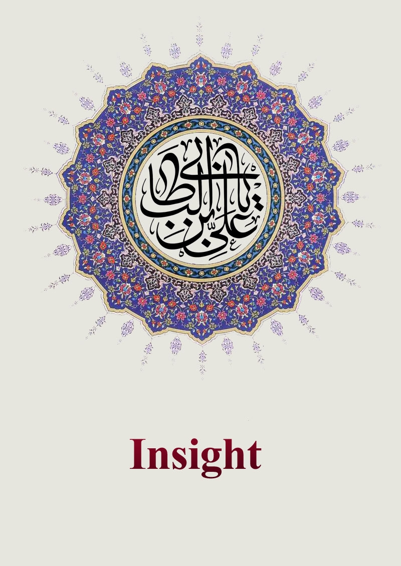 Insight