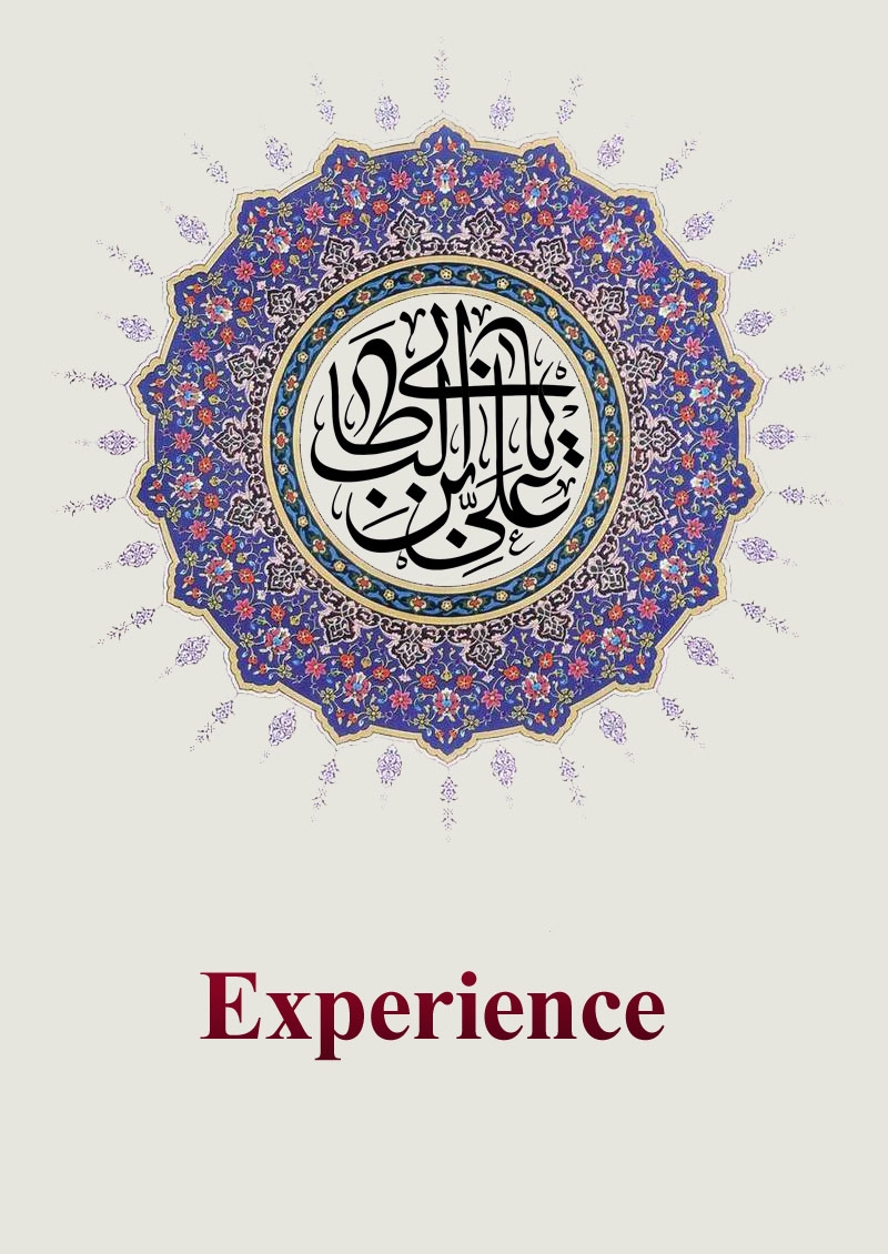 Experience