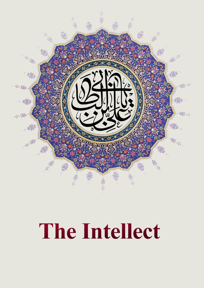 The Intellect