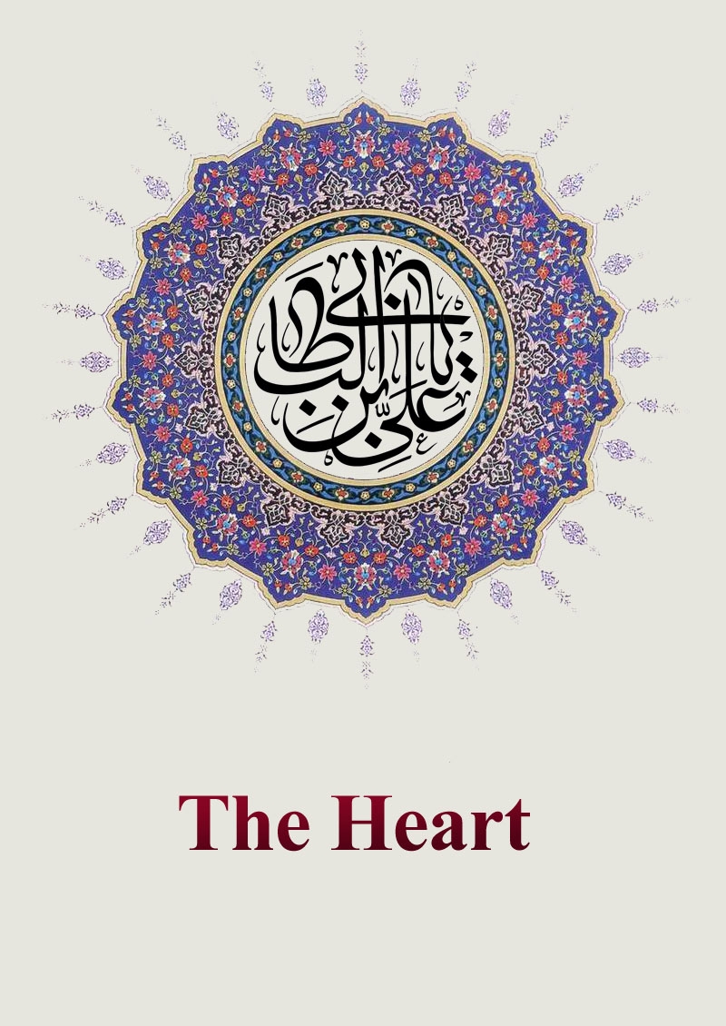 The Heart