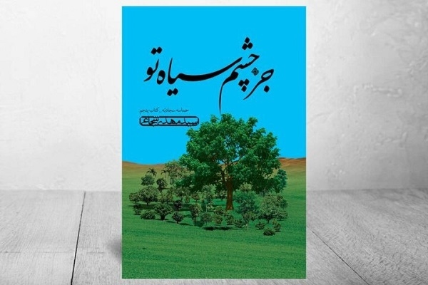 کتاب «جز چشم سیاه تو»، جلد پنجم حماسه سجادیه،‌ منتشر شد