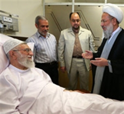 آیت الله محمدی ری شهری از رهبر معظم انقلاب عیادت کرد